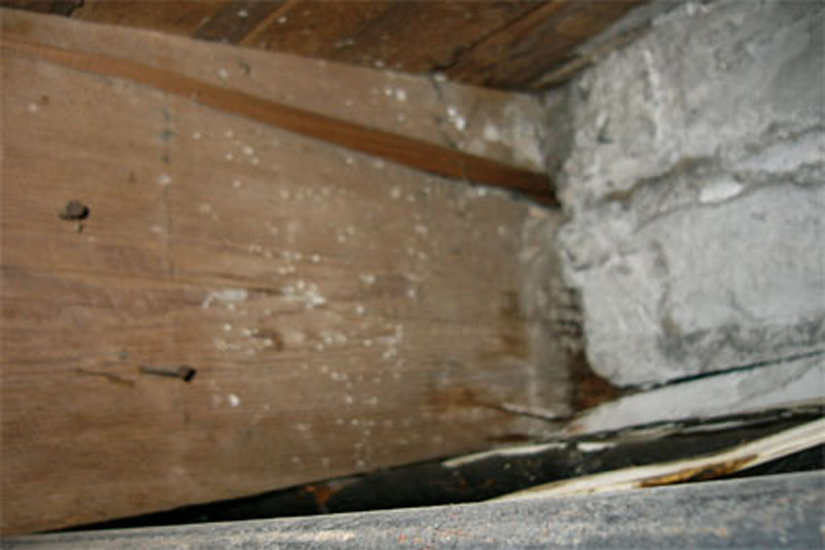 Defect Pics from inspections